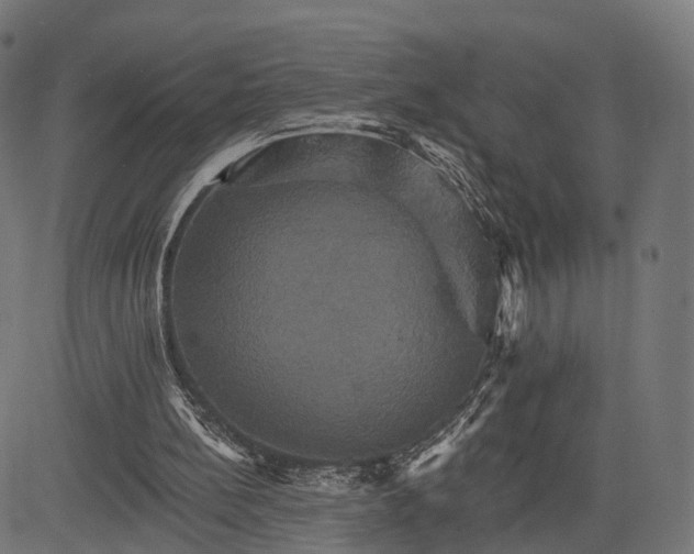 X0000084520148200703091611