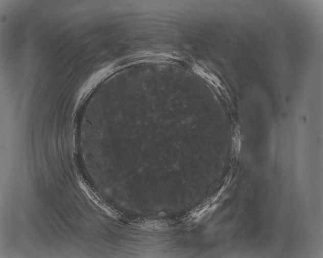 X0000084520149200703091611