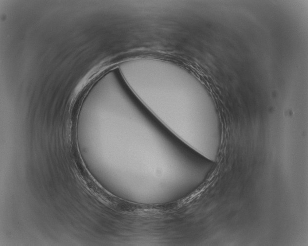 X0000084520150200703091611