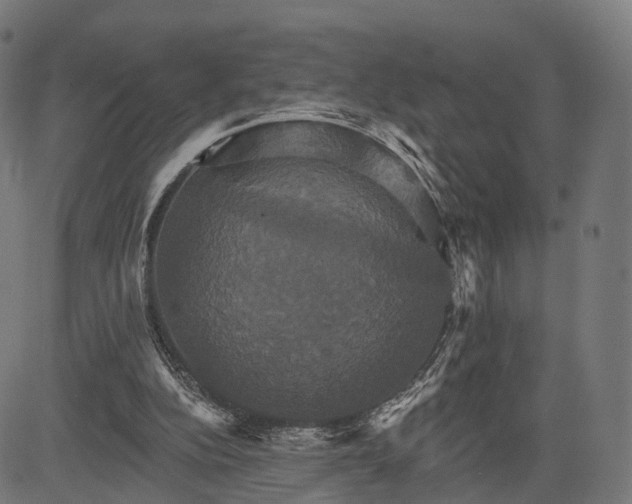 X0000084520152200703091611