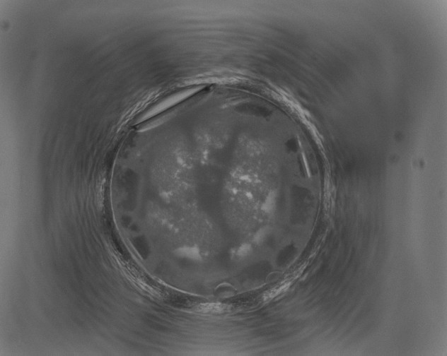 X0000084520153200703091611