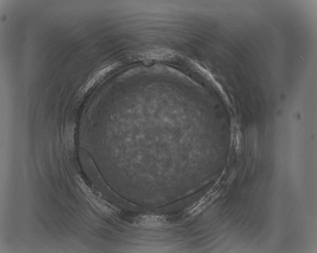 X0000084520154200703091611