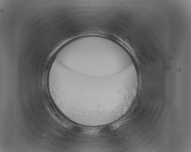 X0000084520155200703091611