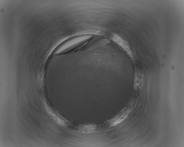 X0000084520156200703091611