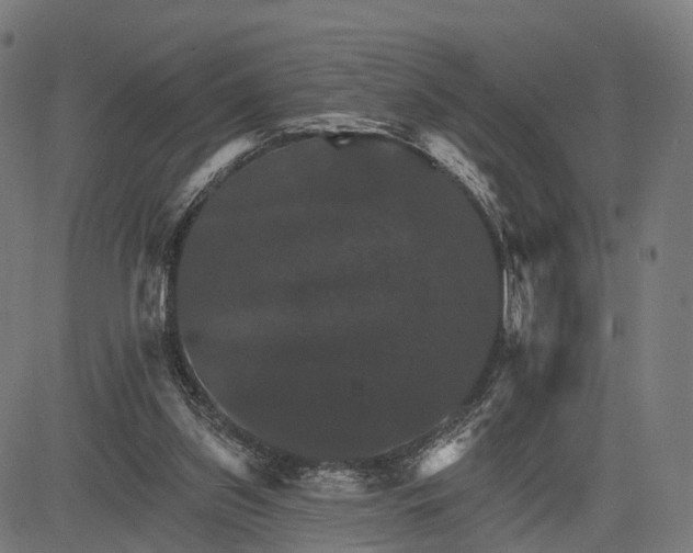 X0000084520157200703091611