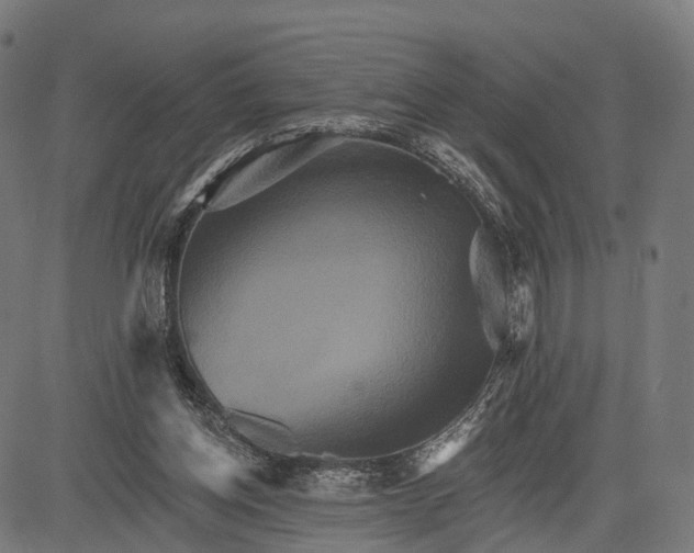 X0000084520158200703091611