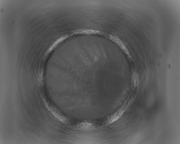 X0000084520159200703091611