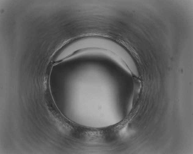 X0000084520160200703091611