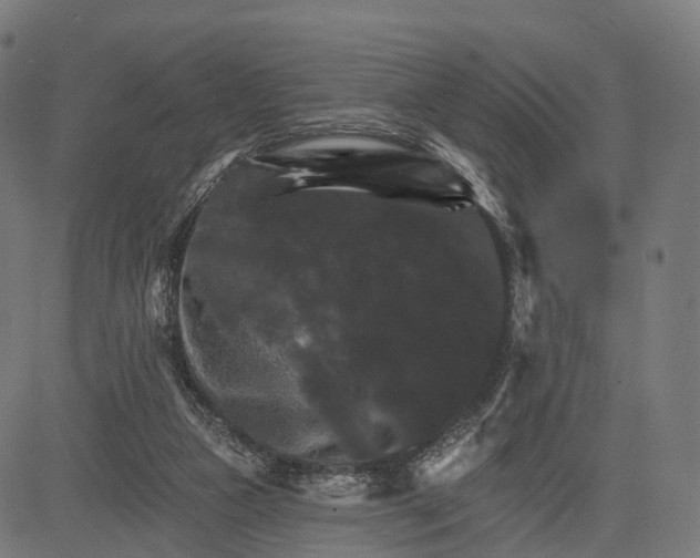 X0000084520161200703091611