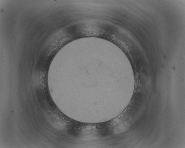 X0000084520162200703091611