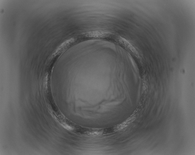 X0000084520163200703091611