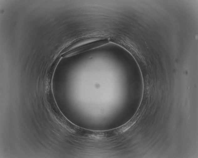 X0000084520164200703091611