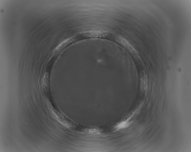 X0000084520165200703091611