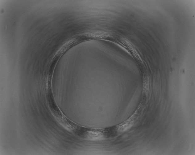 X0000084520167200703091611