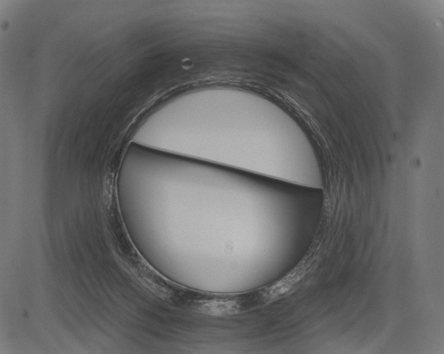 X0000084520168200703091611