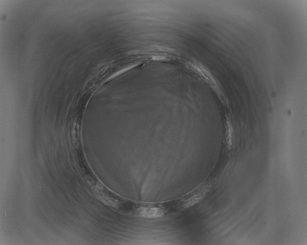 X0000084520169200703091611