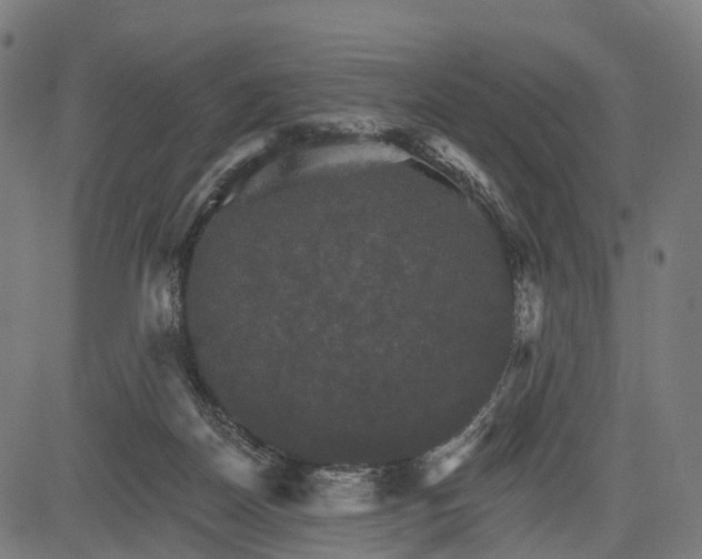 X0000084520170200703091611