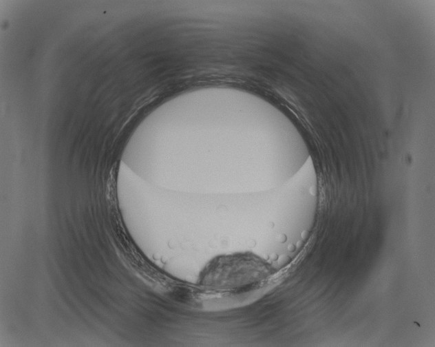 X0000084520171200703091611