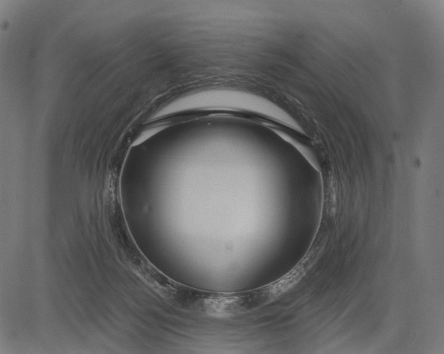 X0000084520172200703091611