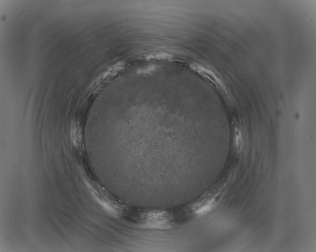 X0000084520173200703091611