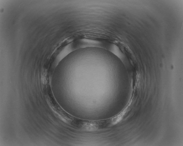 X0000084520174200703091611