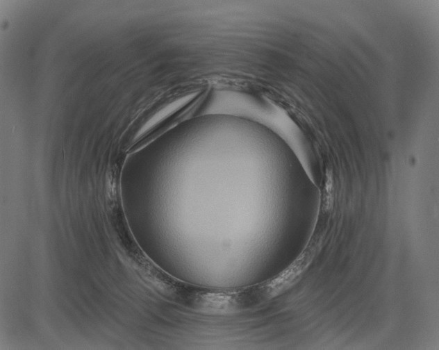 X0000084520176200703091611