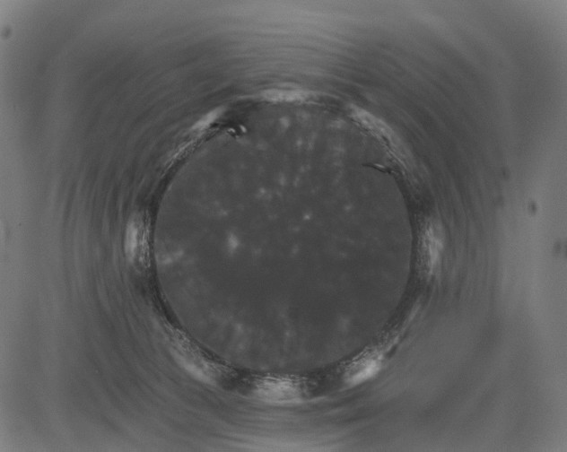 X0000084520177200703091611