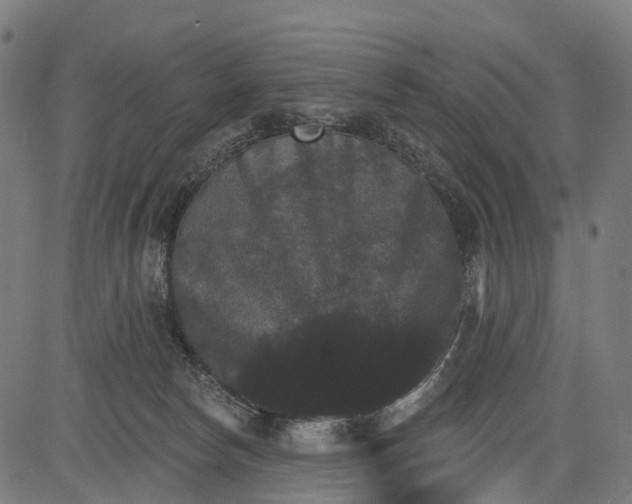 X0000084520178200703091611