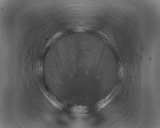 X0000084520179200703091611