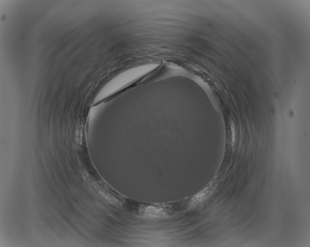 X0000084520180200703091611