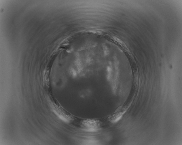 X0000084520181200703091612