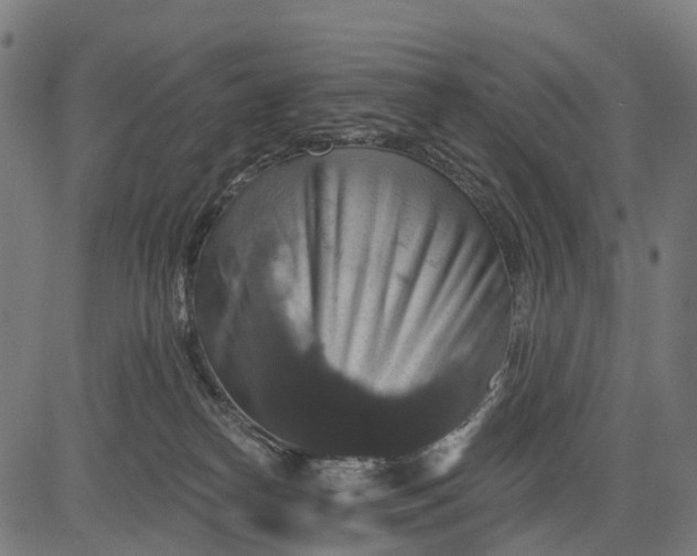 X0000084520182200703091612