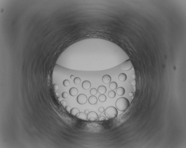 X0000084520183200703091612