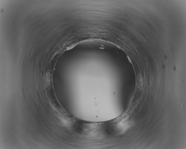 X0000084520184200703091612