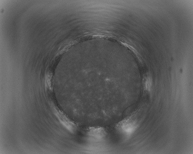 X0000084520185200703091612