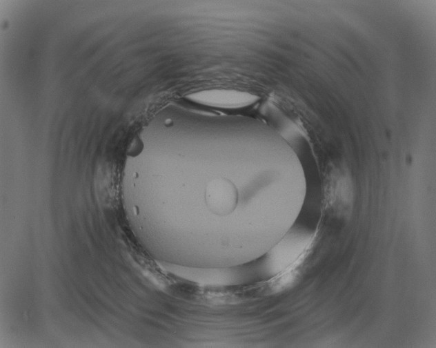 X0000084520186200703091612