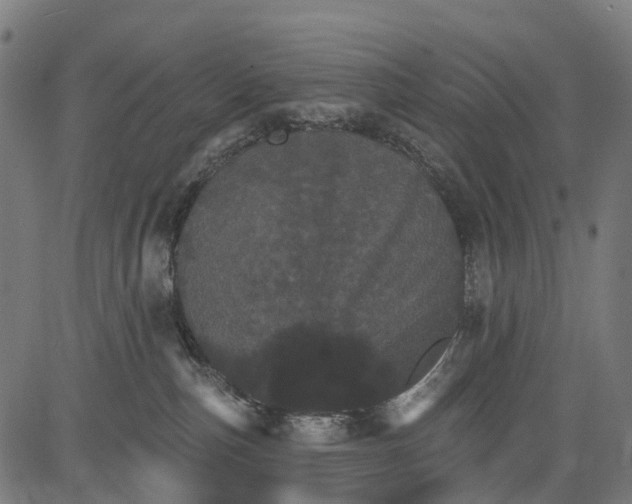 X0000084520187200703091612