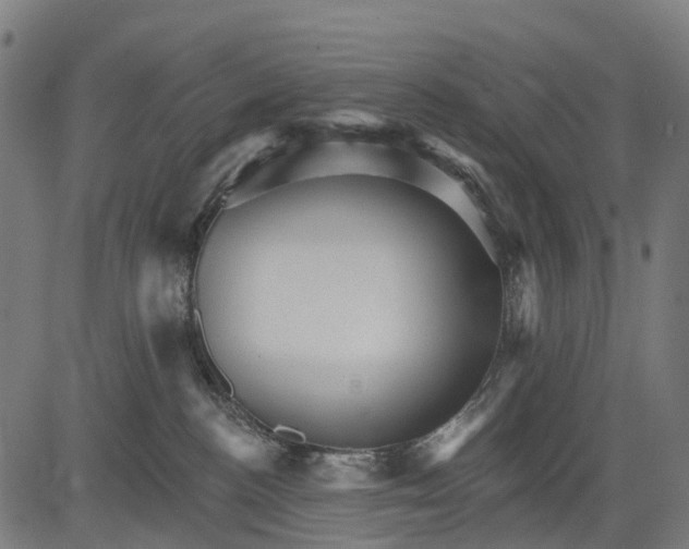 X0000084520188200703091612