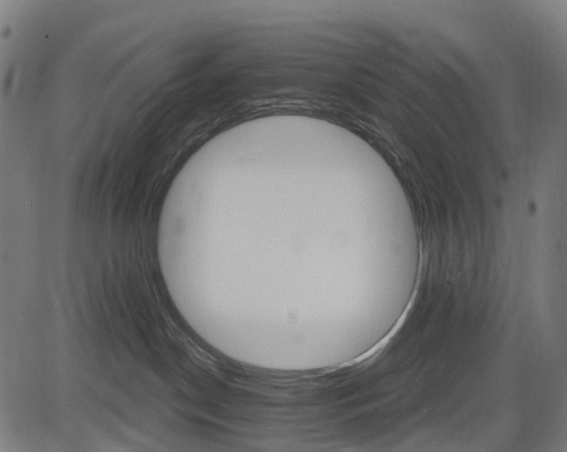 X0000084520190200703091612