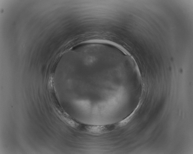 X0000084520191200703091612