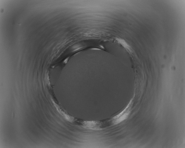 X0000084520192200703091612