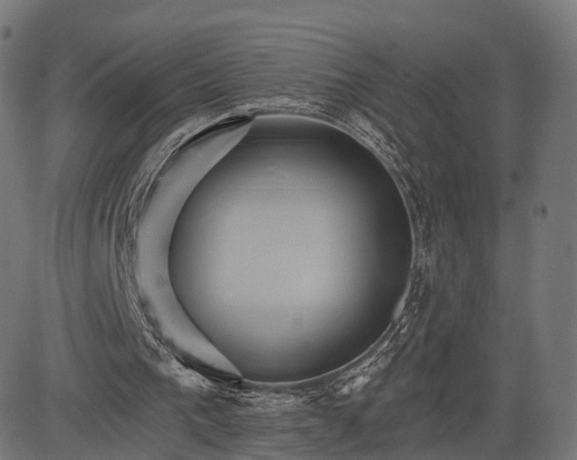 X0000084520193200703091611