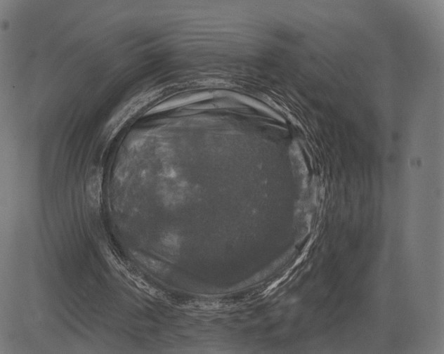 X0000084520194200703091611