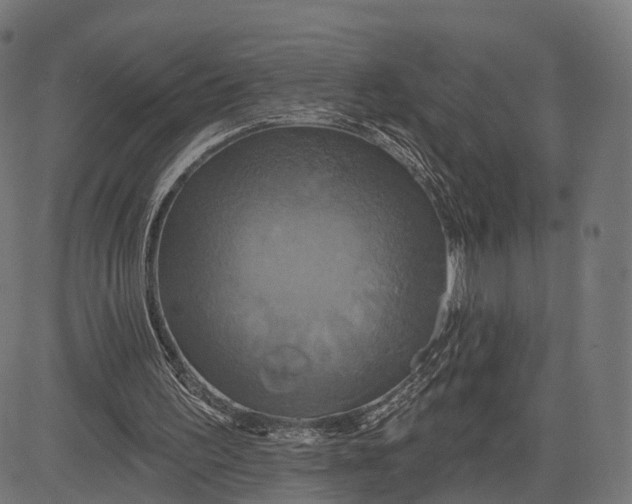 X0000084520195200703091611