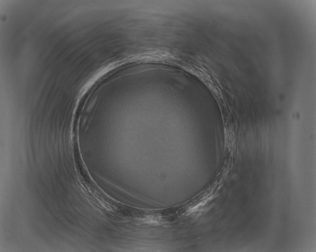 X0000084520196200703091611