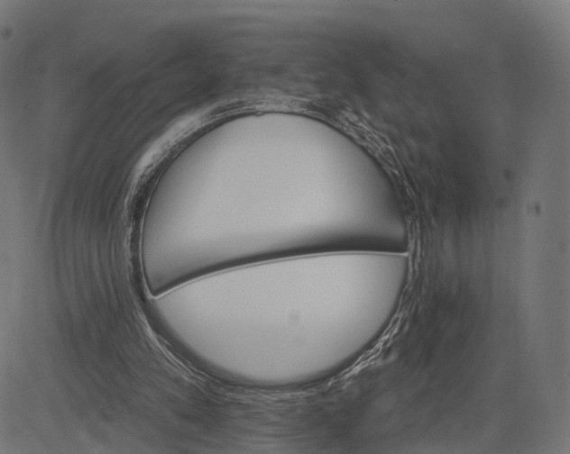 X0000084520197200703091611