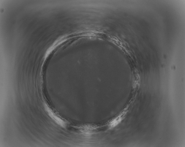 X0000084520198200703091611