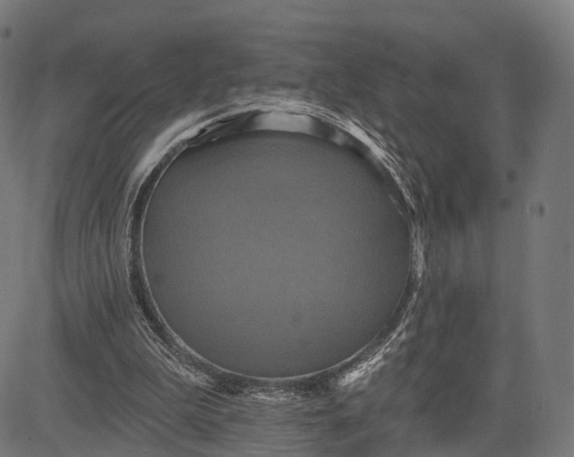 X0000084520199200703091611