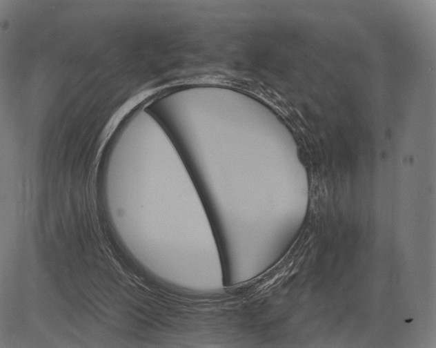 X0000084520200200703091611