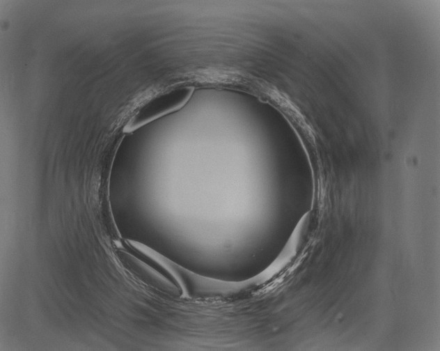 X0000084520201200703091611